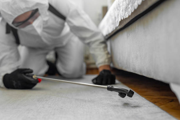 Professional Emergency Pest Control technician working in Sandia Heights, NM