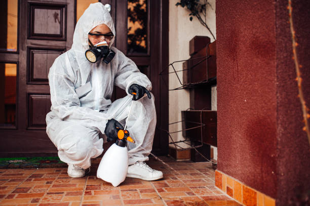 Reliable Emergency Pest Control contractor in Sandia Heights, NM by Nex Pest Control