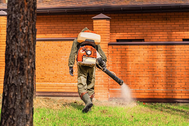 Trusted Emergency Pest Control service in Sandia Heights, NM - Nex Pest Control
